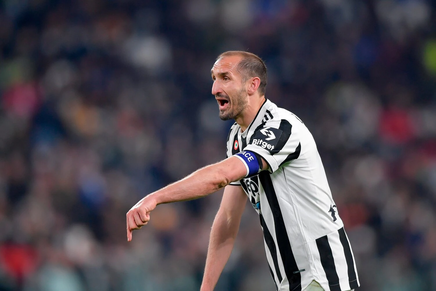 Juventus y Chiellini en el futuro: "Tengo que evaluar muchas cosas, ya veremos pronto."